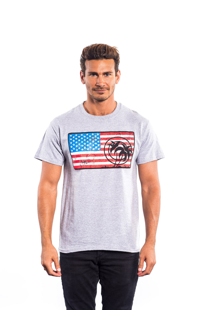 Independence Palm shirt featuring American flag and palm design, worn by a man in gray Hanes Tagless short sleeve tee.