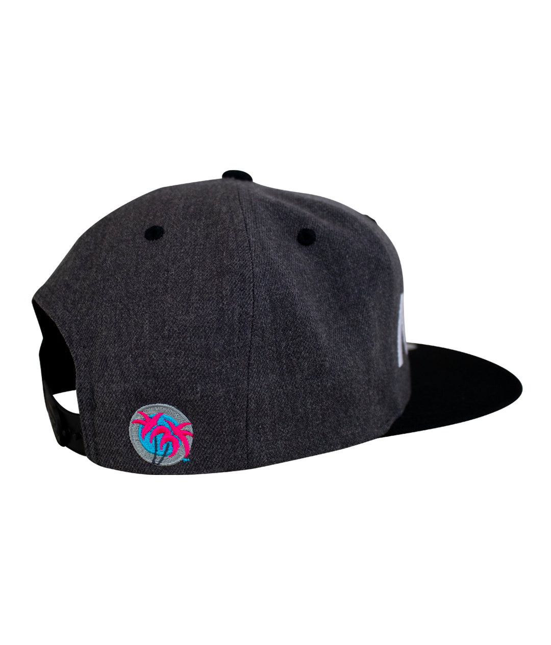Back view of NICERIDE The Tube flatbill snapback hat showing the Pill Logo in vibrant colors.
