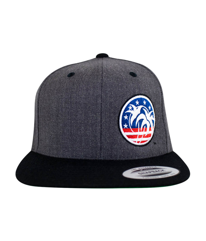 NICERIDE Spirit of 76 flatbill snapback hat in grey and black with palm tree logo and patriotic colors.