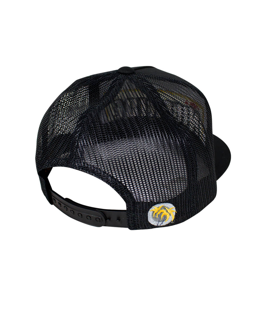 Back view of &