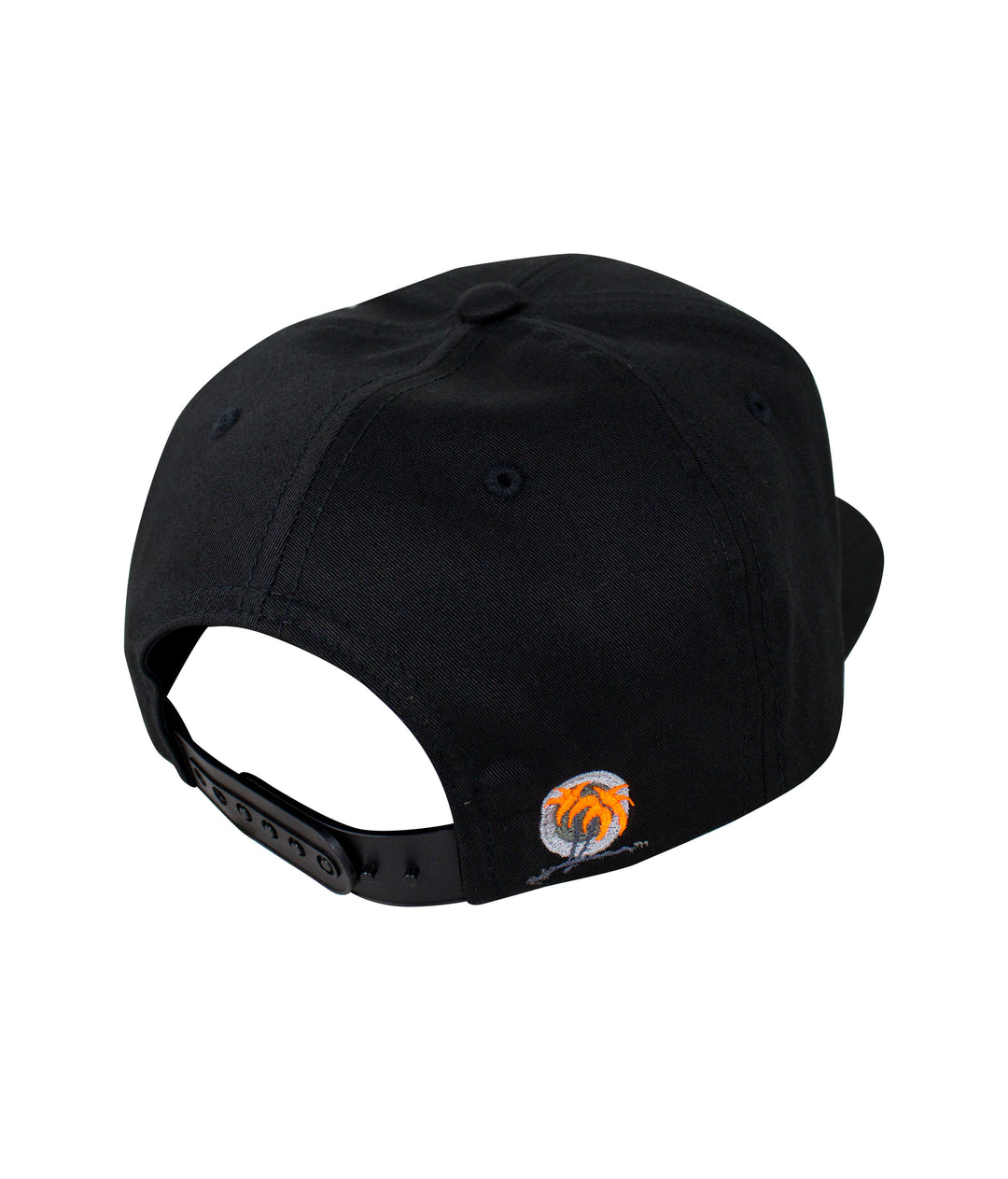 Back view of the Hang 20 youth snapback hat showcasing the black color and NICERIDE palm logo embroidery.
