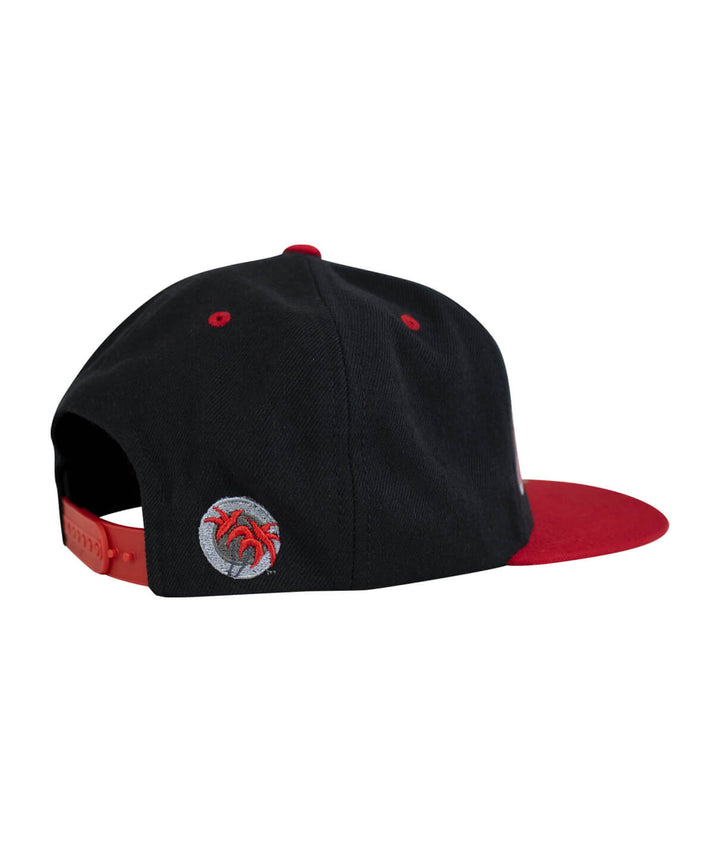 Back view of &