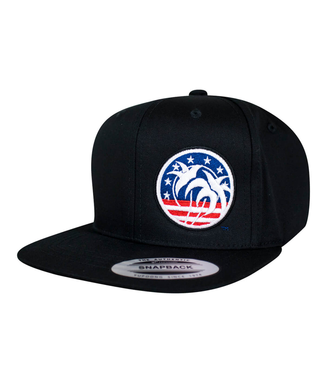 Spirit of 76 YOUTH HAT featuring American flag design and NICERIDE embroidery on a classic snapback.