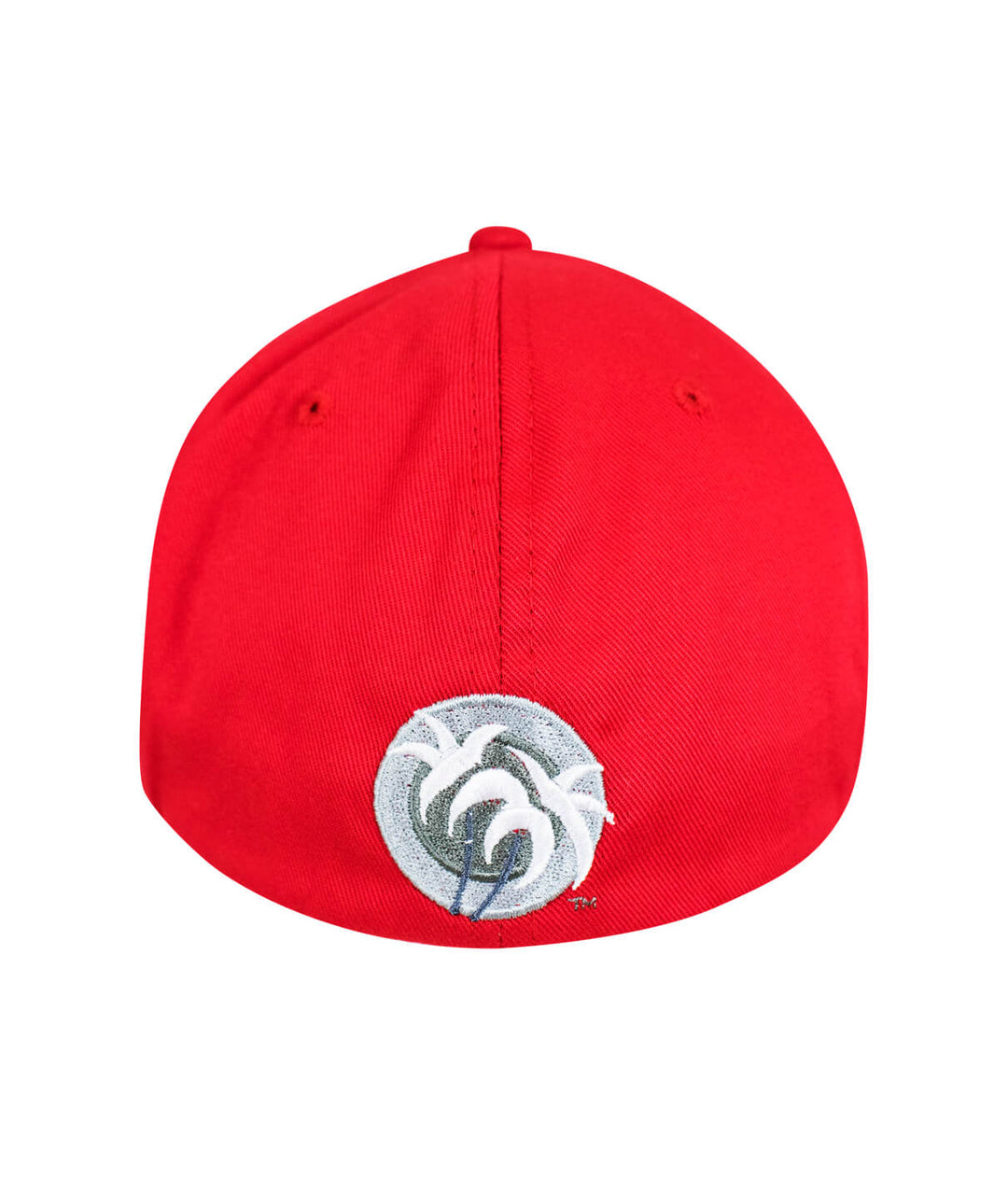 Back view of the Pride - LP Classic Flexfit Hat featuring a blacked out palm logo on a red cap.