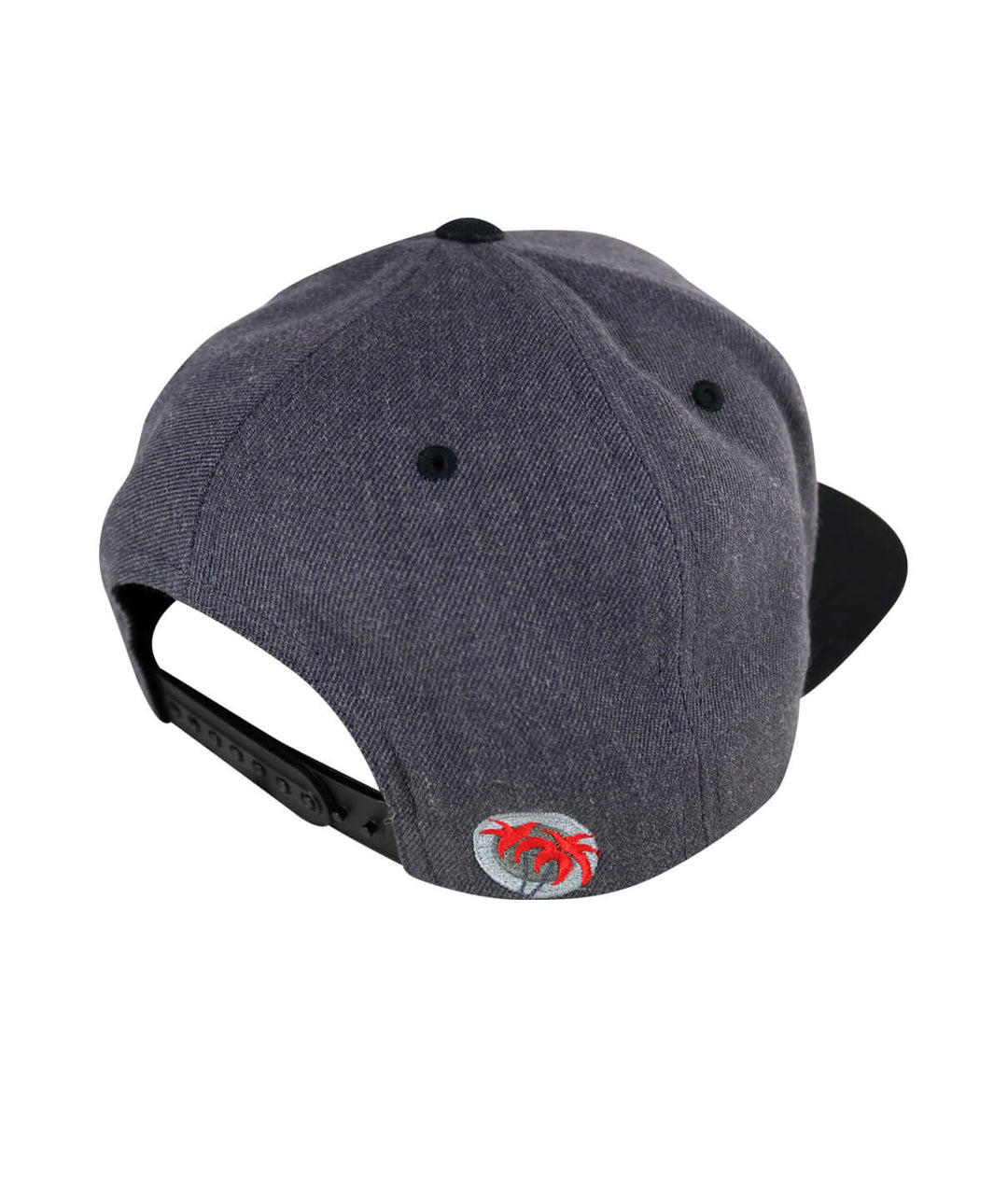 Back view of a Half Pipe Flatbill Snapback Hat featuring NICERIDE&