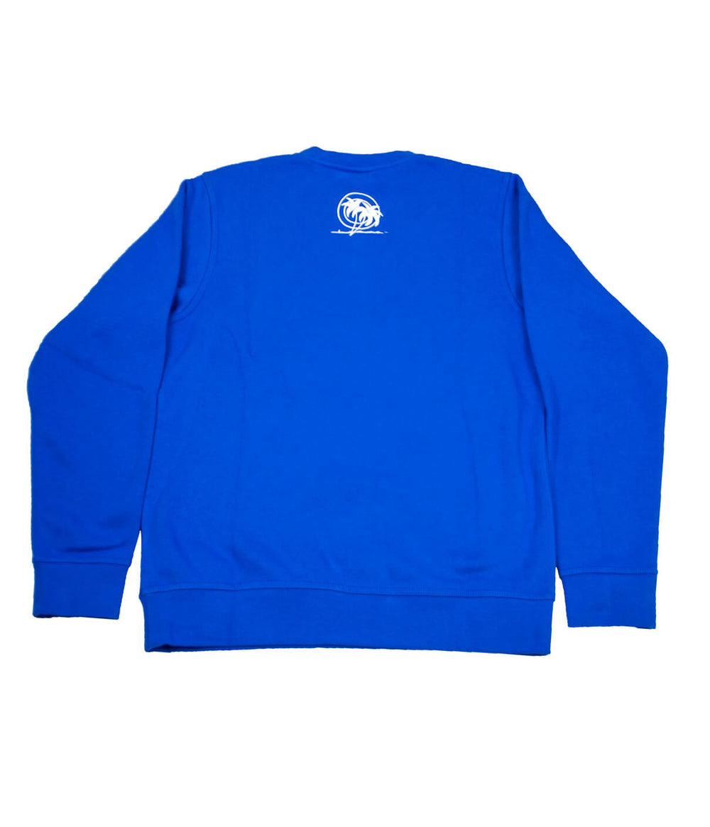 Back view of a blue NIKE sweatshirt featuring NICERIDE's Palm logo on the rear center.